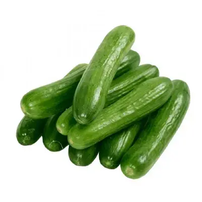 English Cucumber (Kheera)