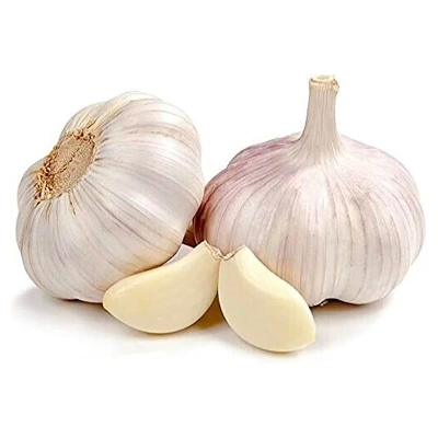 Garlic Hybrid (Lahsun Mota)