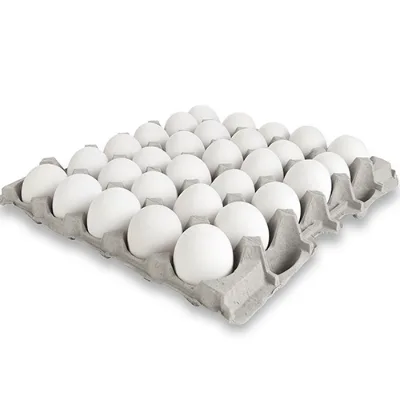 Egg Tray (30 pc)