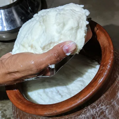 Murrah Buffalo Bilona Ghee (Bhains Ghee)